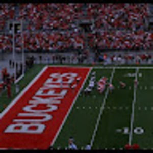 Meet your Posher, Roy